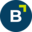bergfuerst.com-logo