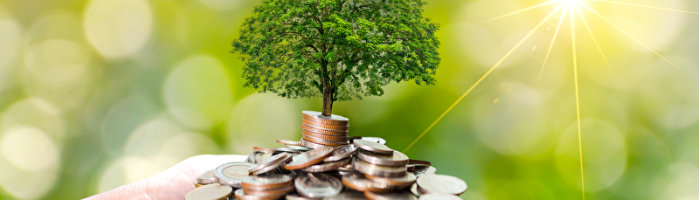 Impact Investing: So investieren Sie nachhaltig und mit Wirkung