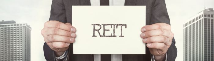 Investment in REITs